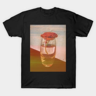 Sunset in a Bottle T-Shirt